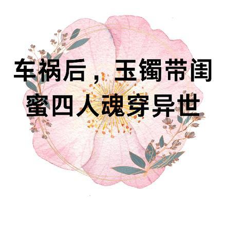 车祸后，玉镯带闺蜜四人魂穿异世