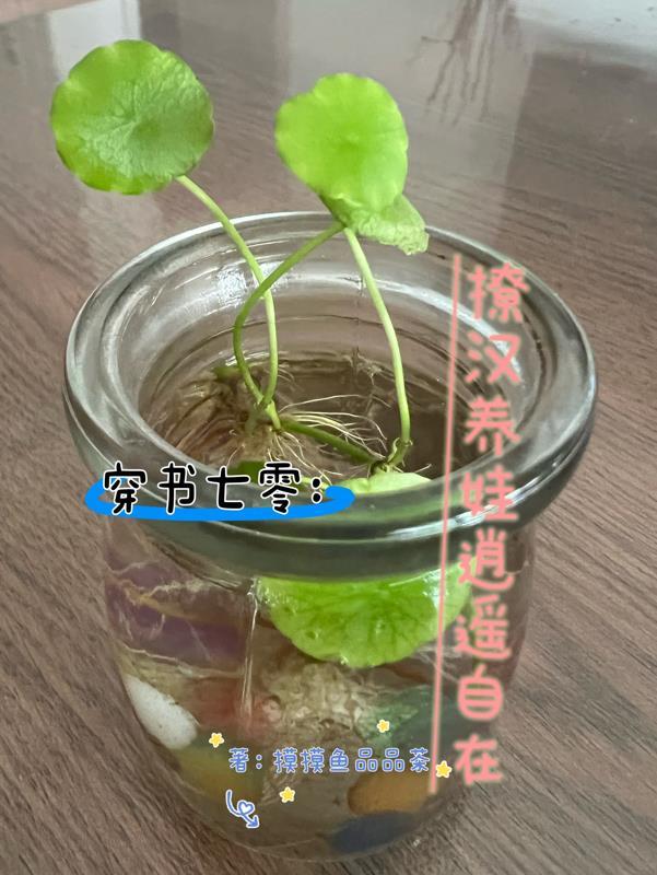 红旗招展的岁月 角儿18