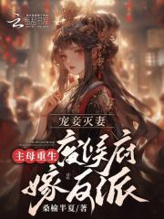 完美的间谍PDF