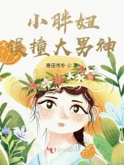 小胖妞误撞霸道总裁